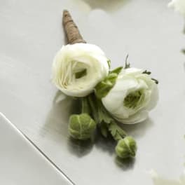 Small white ranunculus boutonniere with green buds