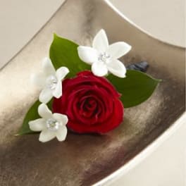 Red rose with small white flowers and green leaves