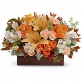 Orange and cream floral arrangement in a rectangular wooden box