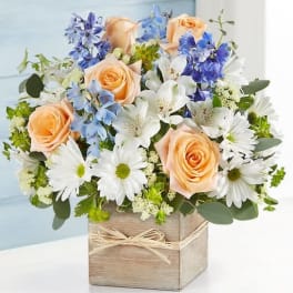 Peach roses, white daisies, and blue flowers in a wooden box