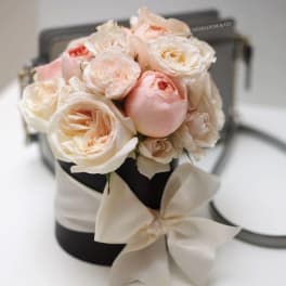 The Holly Go Lightly