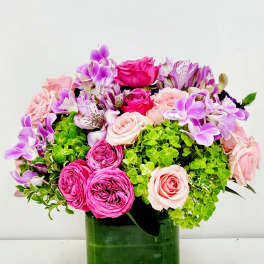 Beautiful and Blooming
