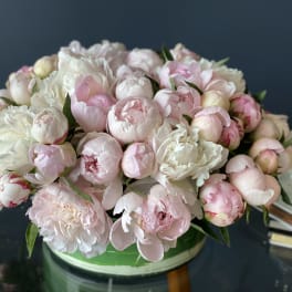 Round bouquet of pale pink and white peonies in a low container
