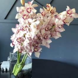 Pink and white orchids arranged in a clear glass vase