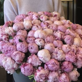 Large bouquet of pink peonies held by a person