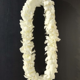 White flower lei on a dark background