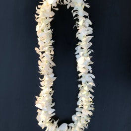 White orchid lei on a dark background