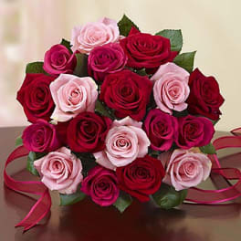 Bouquet of red and pink roses tied with ribbon