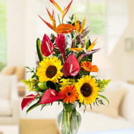 Tropical bouquet with sunflowers, red anthuriums, and bird of paradise in a glass vase