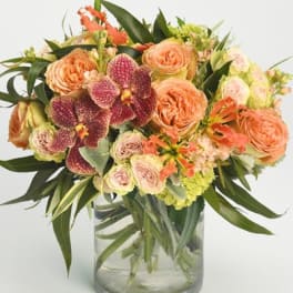 Unique Orchids
