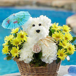 White teddy bear in a basket surrounded by yellow daisies and a blue paper umbrella
