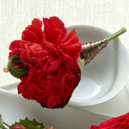 Red carnation boutonniere with green ribbon wrap