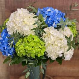Blue, white, and green hydrangeas arranged in a tall glass vase