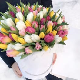 Bouquet of pink, white, and yellow tulips wrapped in white paper