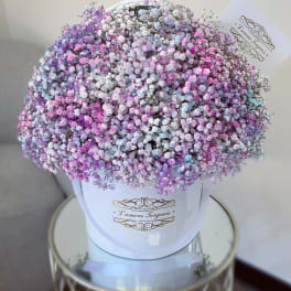 Pastel pink, lavender, blue, and white baby’s breath densely arranged in a white hatbox.