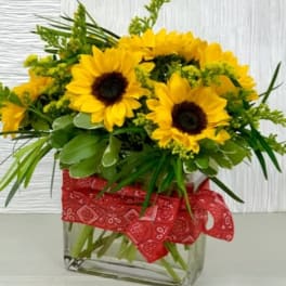 Southern Sunflowers