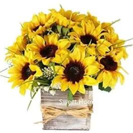 Simply Sun Box