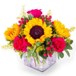 Sparkling Sunflowers