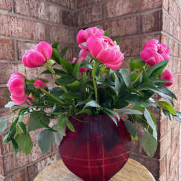 Pink peonies arranged in a red glass vase