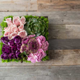 Square succulent and rose arrangement in pink and purple tones