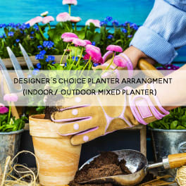 Designer's Choice Outdoor Planters