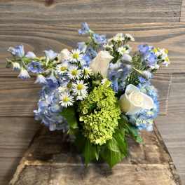 Bluebell