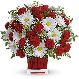 Red carnations and white daisies in a clear square vase