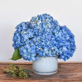 Blue hydrangea bouquet in a white vase on a wooden surface