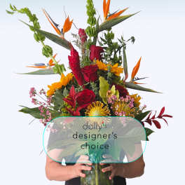 Premium | Designer's Choice