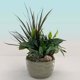 8" Dish Garden