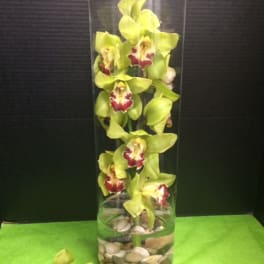 Green orchids in a tall glass cylinder vase with pebbles