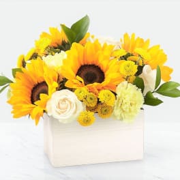 Sunflower and white rose arrangement in a white box