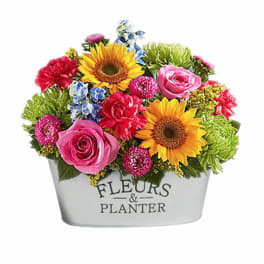 Mixed bouquet in a white planter with sunflowers, roses, and carnations