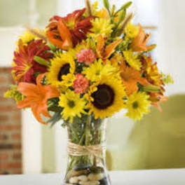 Best Fall Flowers