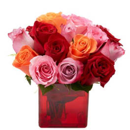 My Fair Lady