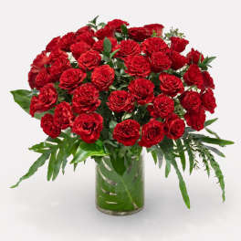 Premium Four Dozen Red Roses
