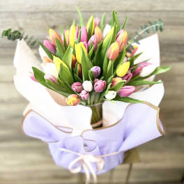 Bouquet of multicolored tulips wrapped in lavender paper
