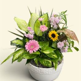 Mixed pink and yellow flowers in a white ceramic bowl planter