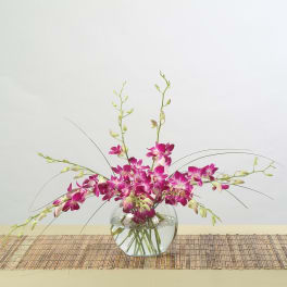 Pink orchids arranged in a round glass vase