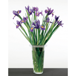 Purple irises arranged in a clear glass vase