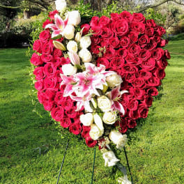 My heart for you