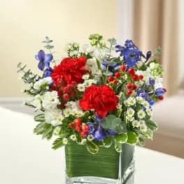In my Thoughts - Red, White and Blue