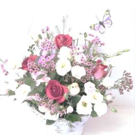 Butterfly Garden Premium
