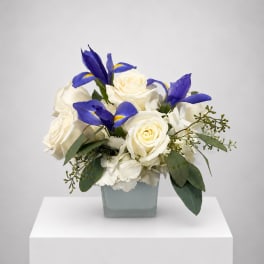 White roses and blue irises arranged in a square vase