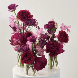 Three small glass vases hold magenta and pink flowers.
