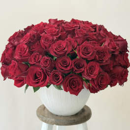 Large bouquet of red roses in a white vase
