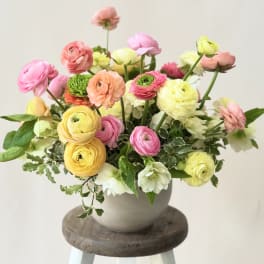 Bouquet of pink, yellow, and peach ranunculus in a white vase