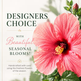 Pink hibiscus flower with green leaves and promotional text on a light background