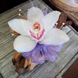 White orchid bloom with purple ribbon on a wood base