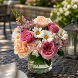 Peach Blossom Delight